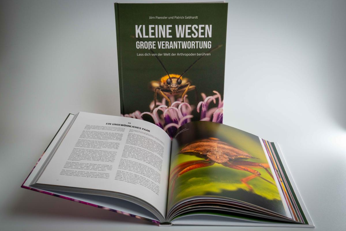 Unser Buch „Kleine Wesen – Große Verantwortung“