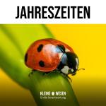 Kleine Wesen