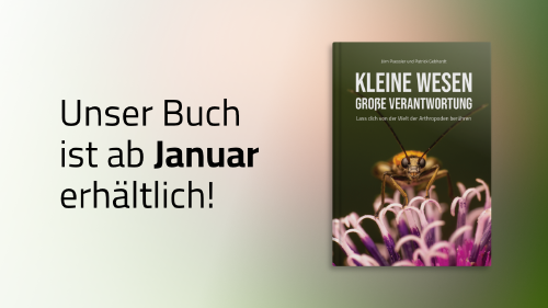 Buch: Kleine Wesen – Große Verantwortung